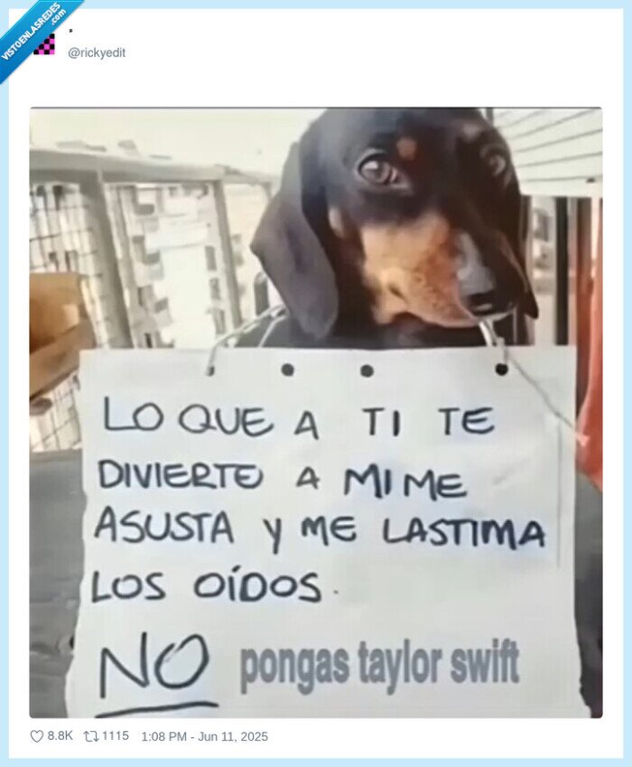 perro,asustar,taylor swift