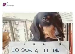 Enlace a Hacedle caso, por @rickyedit