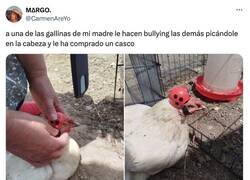 Enlace a Ayyy pobrecilla, por @CarmenAreYo