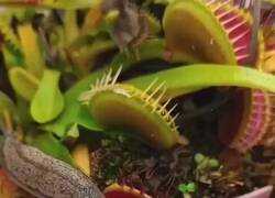 Enlace a Visto y no visto, por @_soyrubitaaa_