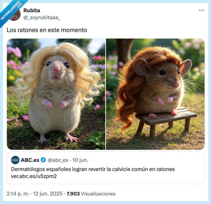ratones,melena,pelazo,calvicie,tratamiento