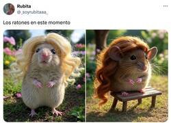 Enlace a Luciendo melenaza, por @_soyrubitaaa_