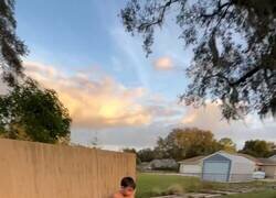 Enlace a No hay término medio, por @LegoLlorchs