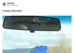 Enlace a Es lo primero que he visto