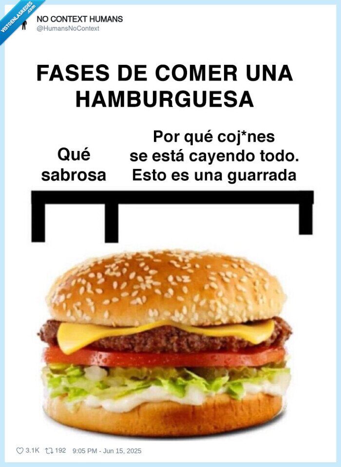 hamburguesa,comer,sabrosa,desmontarse