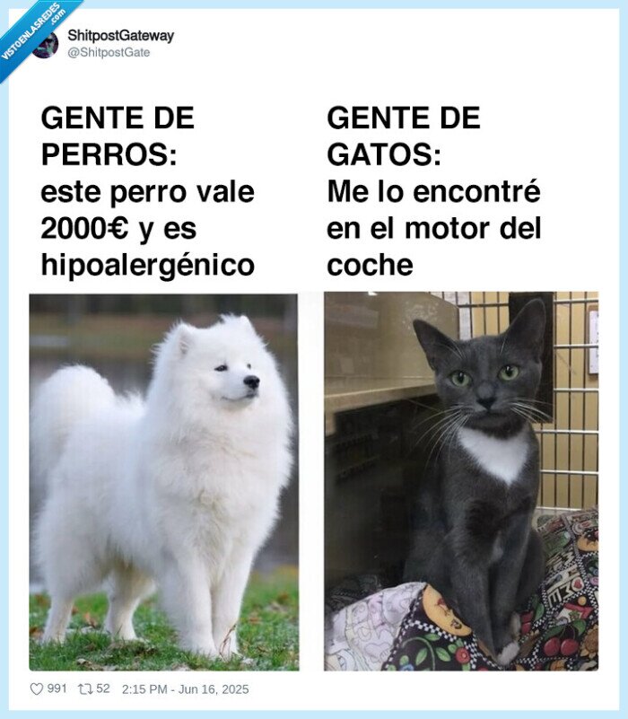 raza,perros,gatos