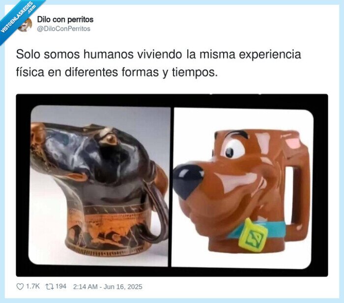 experiencia,humanos,tazas,perros