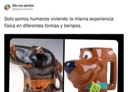 Enlace a Vaya downgrade la taza de Scooby, por @DiloConPerritos