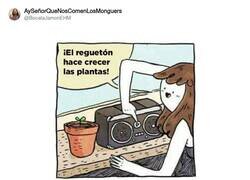 Enlace a Crecen porque no pueden con su vida, por @BocataJamonEHM