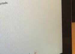 Enlace a Usar ChatGPT para saber si tu novio te está metiendo los cuernos