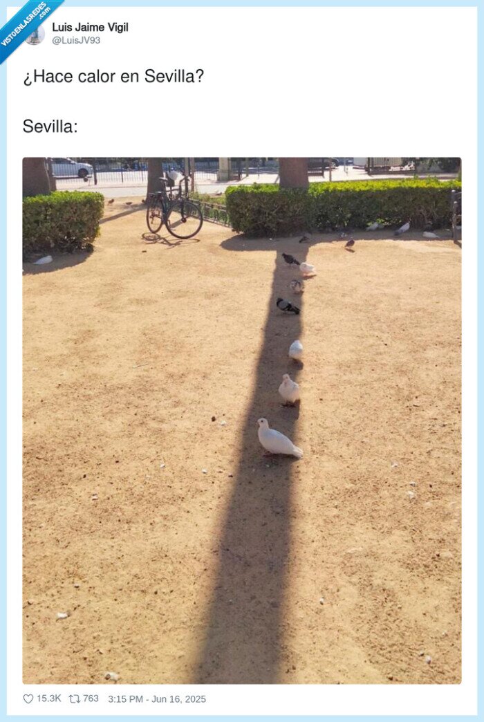 sevilla,calor,palomas,sombra