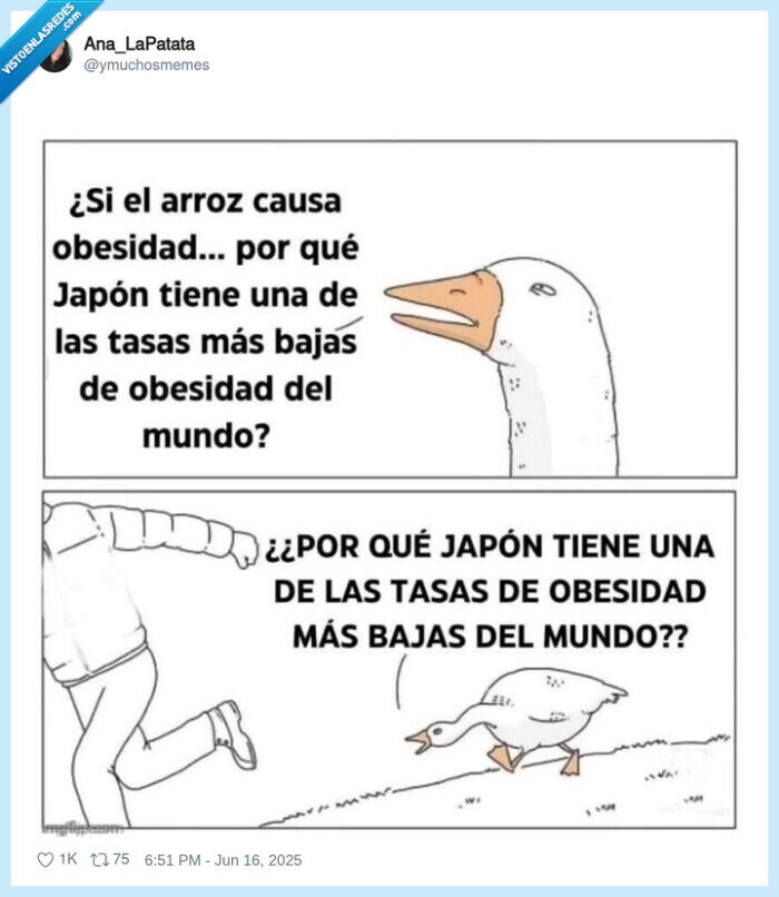 obesidad,japon,tasa,arroz,engordar