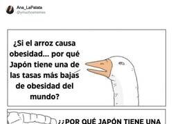 Enlace a Venga, que salgan todos los tiktokers nutricionistas a debatir, por @ymuchosmemes