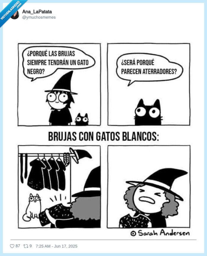 gatos,negros,blancos,pelusa