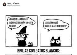 Enlace a Ahhhhhh, ahora lo he pillado, por la pelusilla, por @sarahandersen