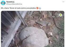 Enlace a Bien duro por @supermanumolina