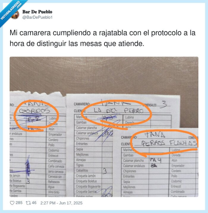 distinguir,rajatabla,protocolo,camarera