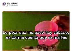 Enlace a Menuda semanita