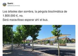 Enlace a Esto suena a obra otorgada a primo del alcalde, por @BeatrizLeonesa