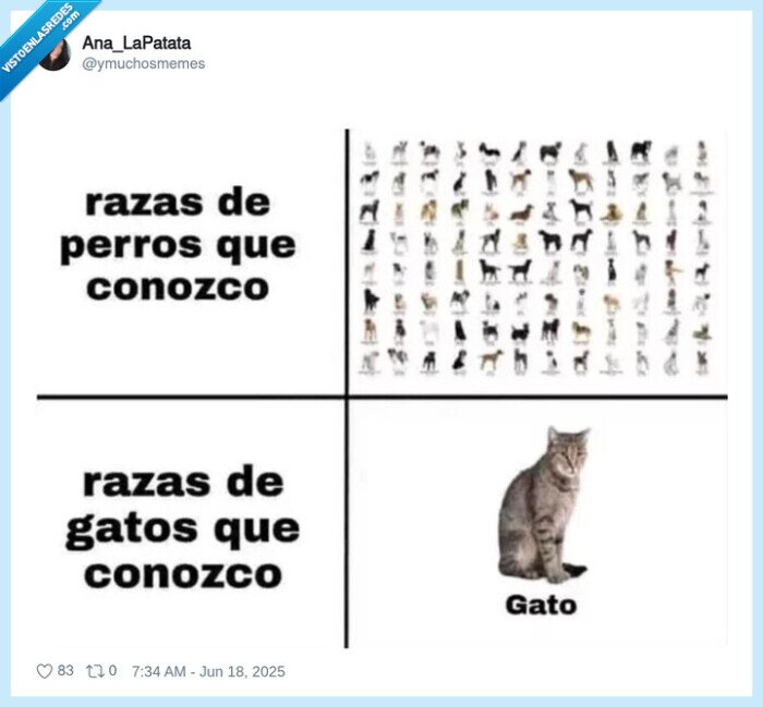 razas,conocer,saber,gatos,perros