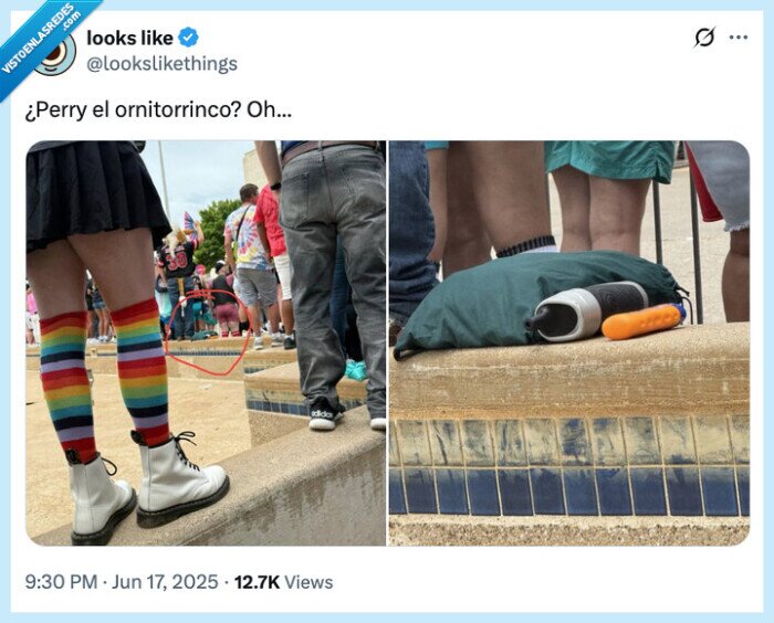 perry,ornitorrinco,parecido razonable