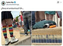 Enlace a Me ha venido lo mismo la cabeza