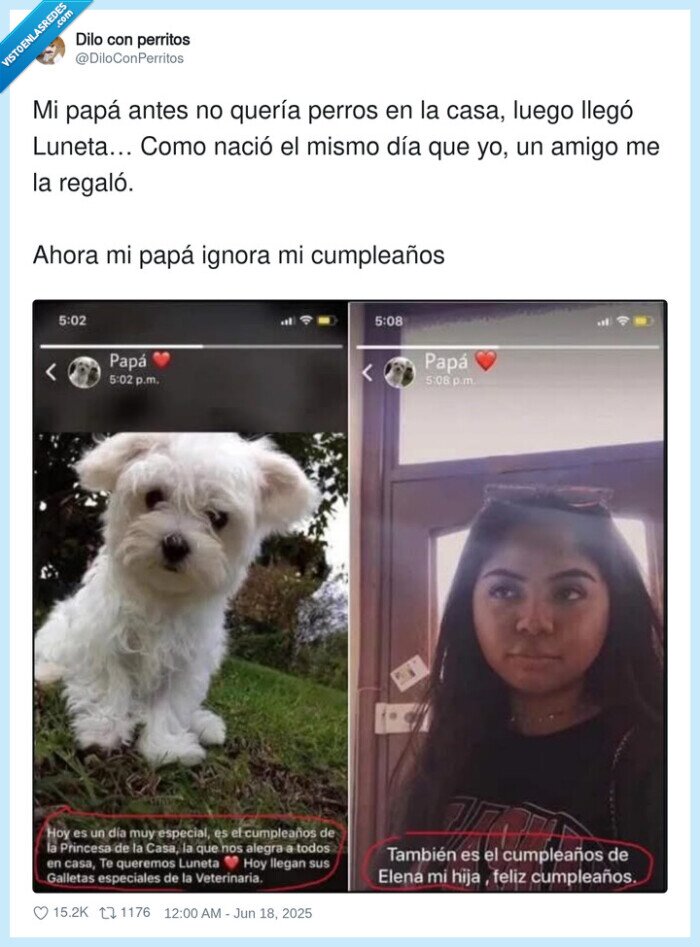 cumpleaños,luneta,regalo,perros,ignorar,perra