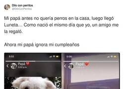 Enlace a Haberle dado más amor, ahora te aguantas, por @DiloConPerritos