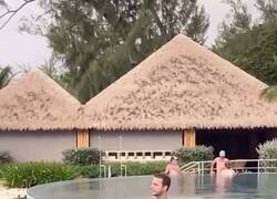 Enlace a Casi me da un infarte, por @DSheldon_Cooper