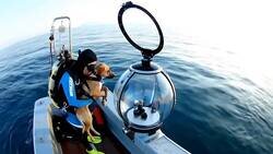 Enlace a No lo veo muy convencido, por @zondanemesis