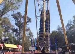 Enlace a Qué poco aprecio por su vida, por @Arteymas_