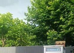 Enlace a Necesito ir, por @Natalia_Who