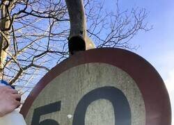 Enlace a Placer puro, por @rizukhaa