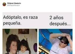 Enlace a Como los que compran perros de raza miniatura y se la cuelan, por @ShitpostRandom