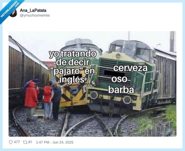 cerveza,oso,barba,pajaro,ingles