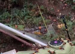 Enlace a Como tenga un agujero en el traje, adiós