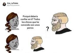 Enlace a Alma de gato