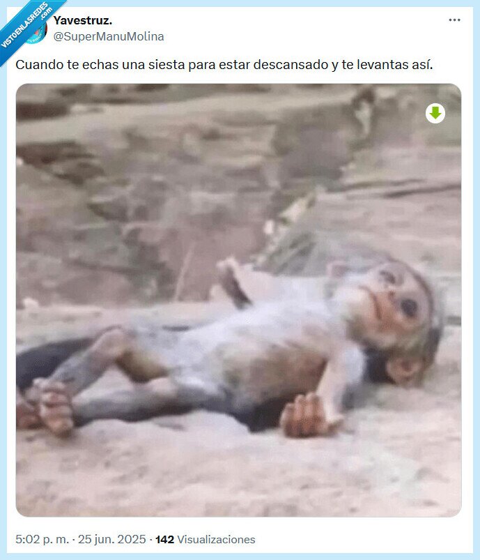 siesta,descansar,levantar