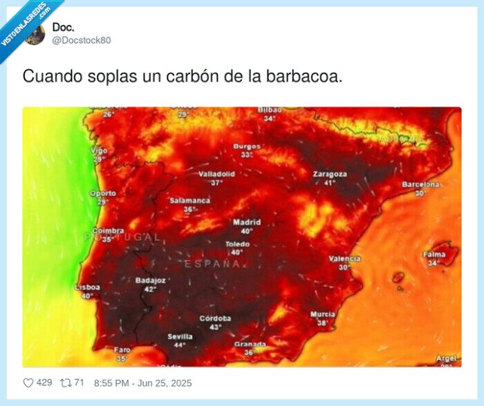 barbacoa,carbón,calor,soplar