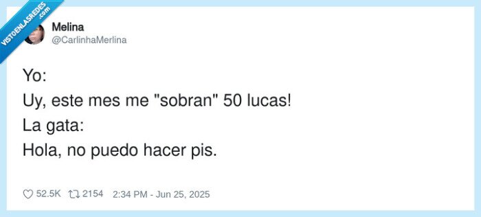 sobrar,dinero,gato,ahorrros,vacaciones