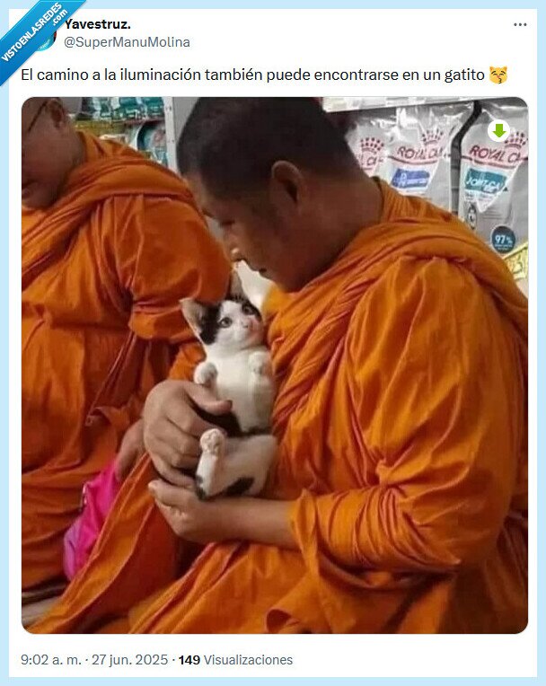 iluminación,gatito,budista