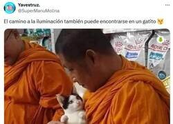 Enlace a Los egipcios tenían razón por @supermanumolina