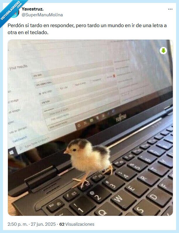 responder,teclado,pollito
