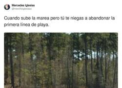 Enlace a No nos moverán, por @mercheiglesiasc