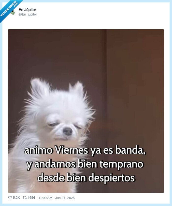 viernes,cansado,despiertos,temprano