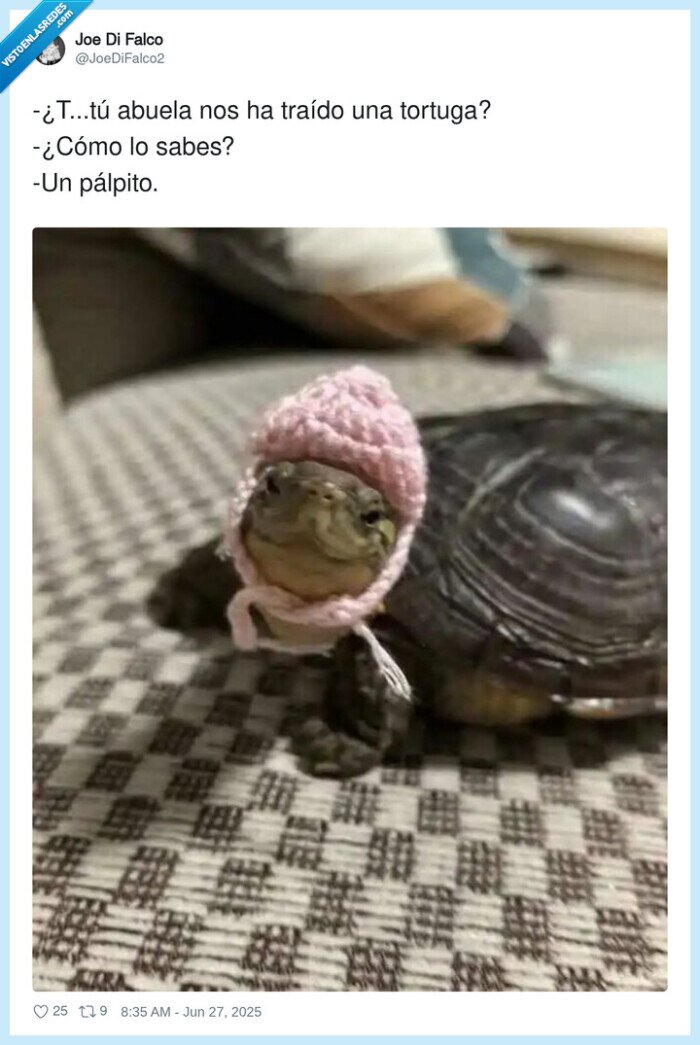 gorrito,tortuga,abuela