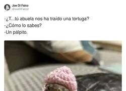 Enlace a La tortuga entrañable, por @JoeDiFalco2
