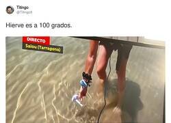 Enlace a Grave error de concepto, por @Titingo9