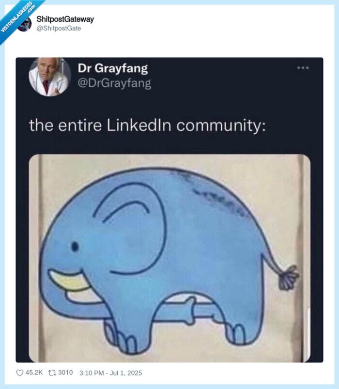 elefante,trompa,rabo,linkedin