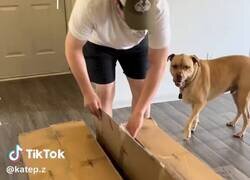 Enlace a Compras un sillón chino y la única indicación de las instrucciones es esperar 24hs